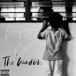 Cover of Peeping Out The Window