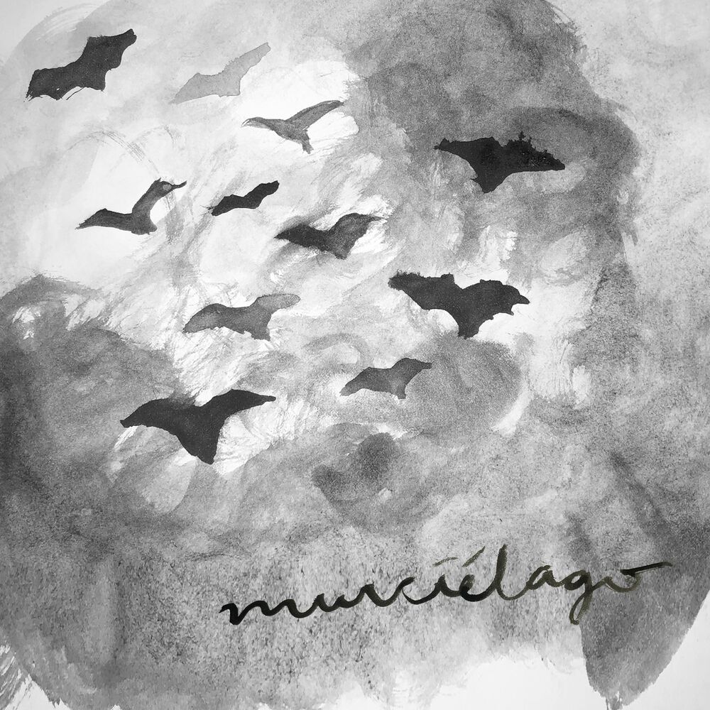 Picture of Murciélago