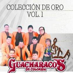 Cover of Colección de Oro Vol. 1