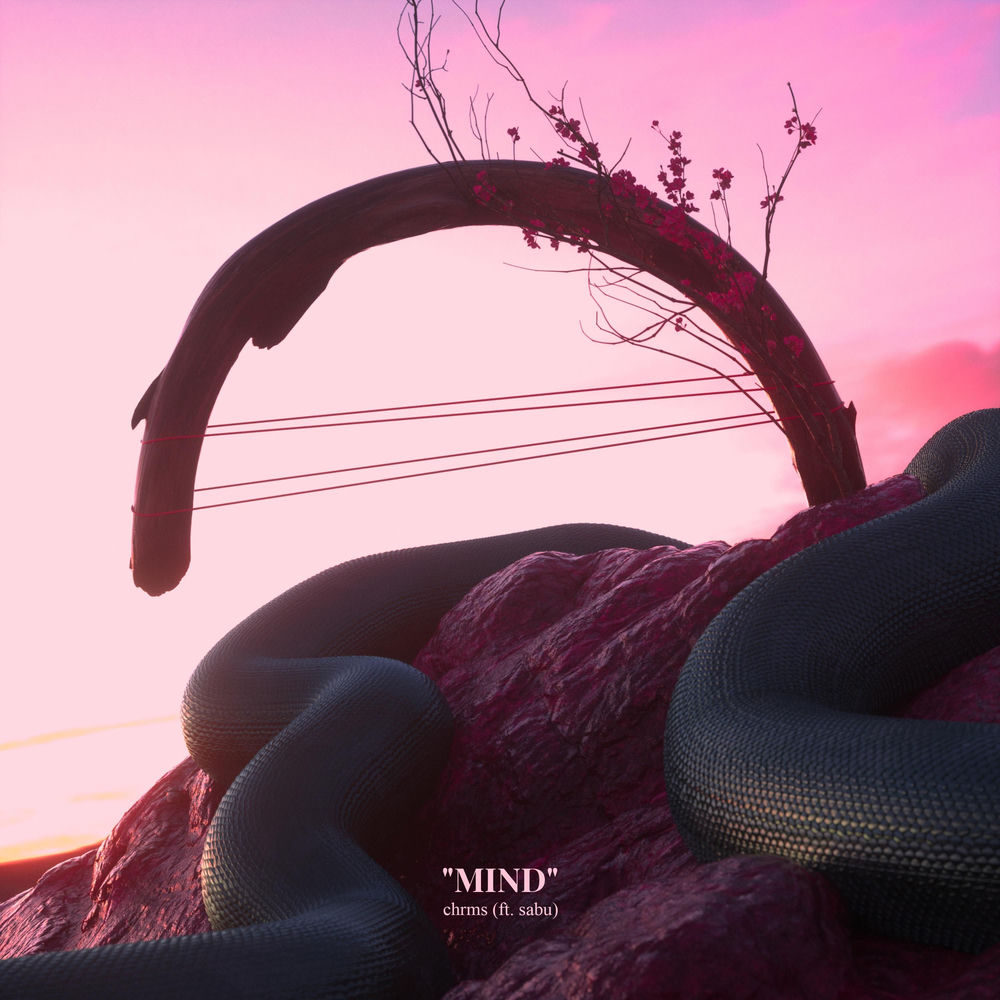 Album artwork for Mind by CHRMS
