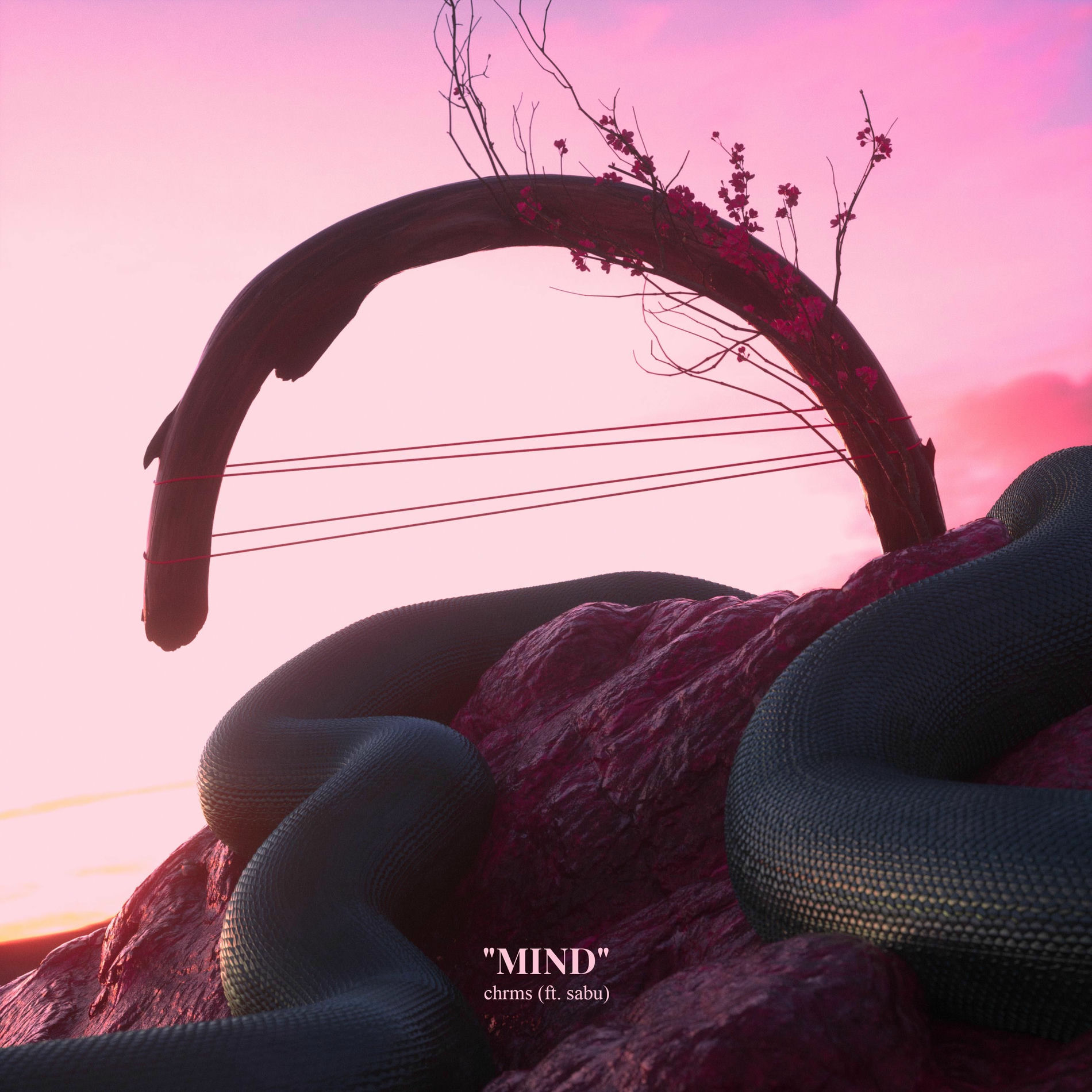 Album cover of Mind (feat. Sabu)