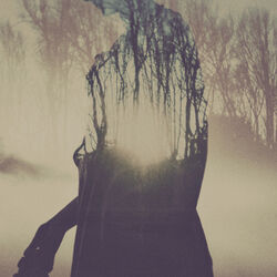 Cover of Palace EP