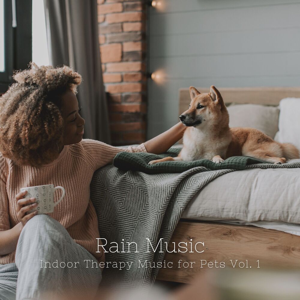 Picture of Rain Music: Indoor Therapy Music for Pets Vol. 1