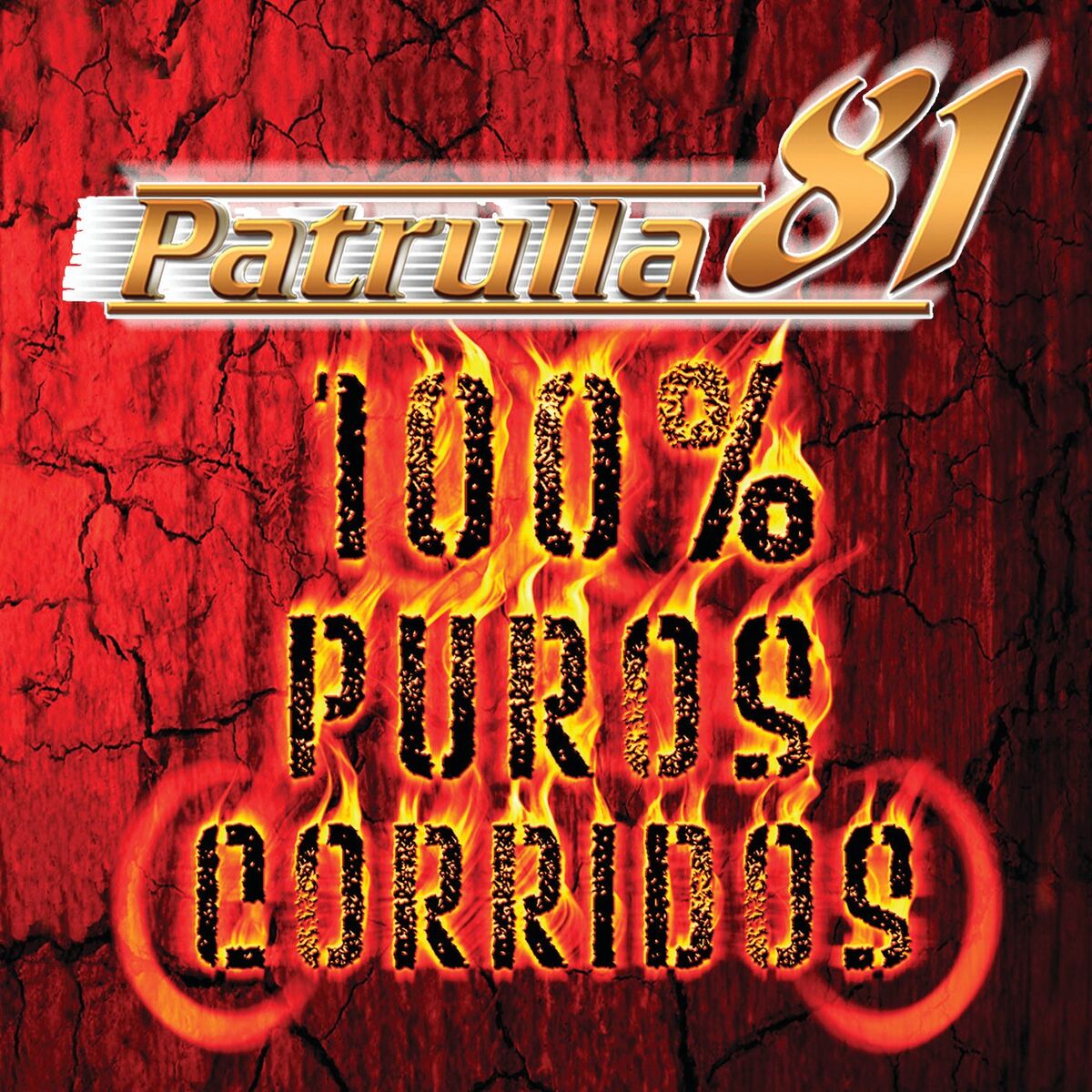 Album cover of 100% Puros Corridos