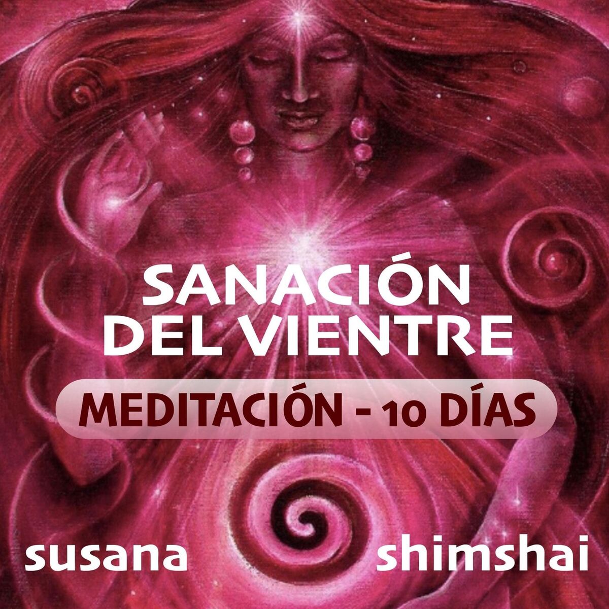 Album cover of Sanación Del Vientre - Meditación De 10 Días