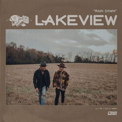 Cover of Rain Down