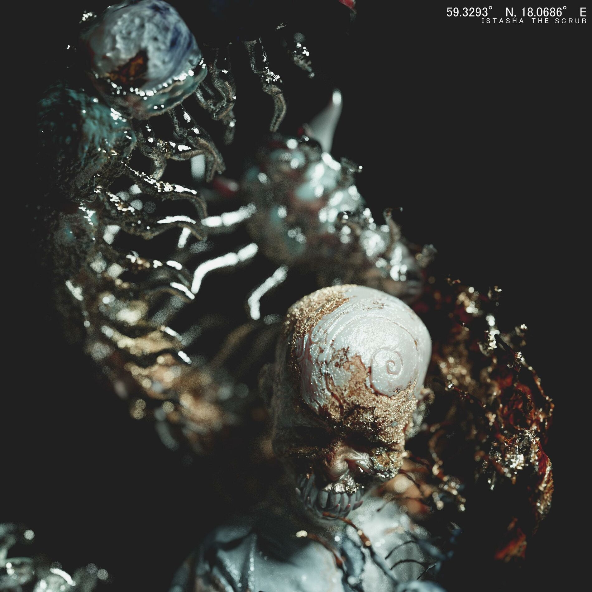 Album cover of Barbed Wire Braces