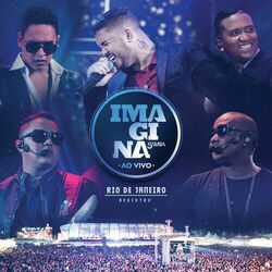 Cover of Imaginasamba Ao Vivo - Rio de Janeiro - Registro