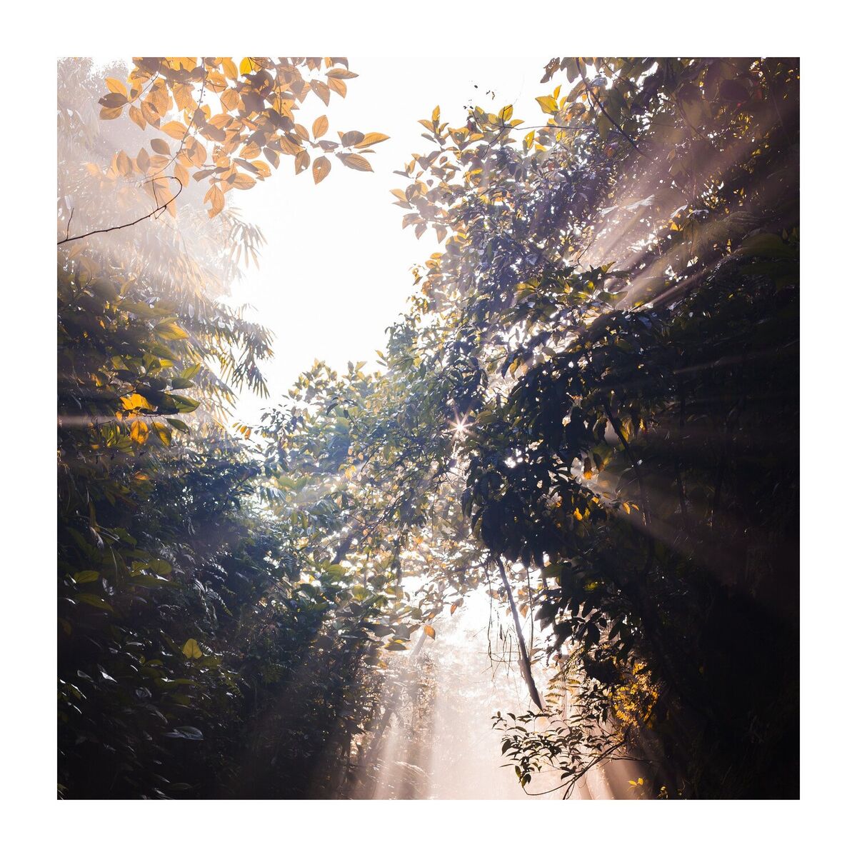 Album cover of The Perfect Time for a Good Sleep