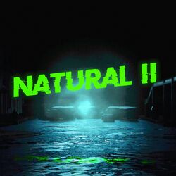 Cover of Natural 2