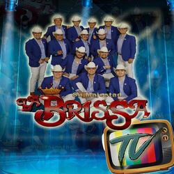 Cover of Tv