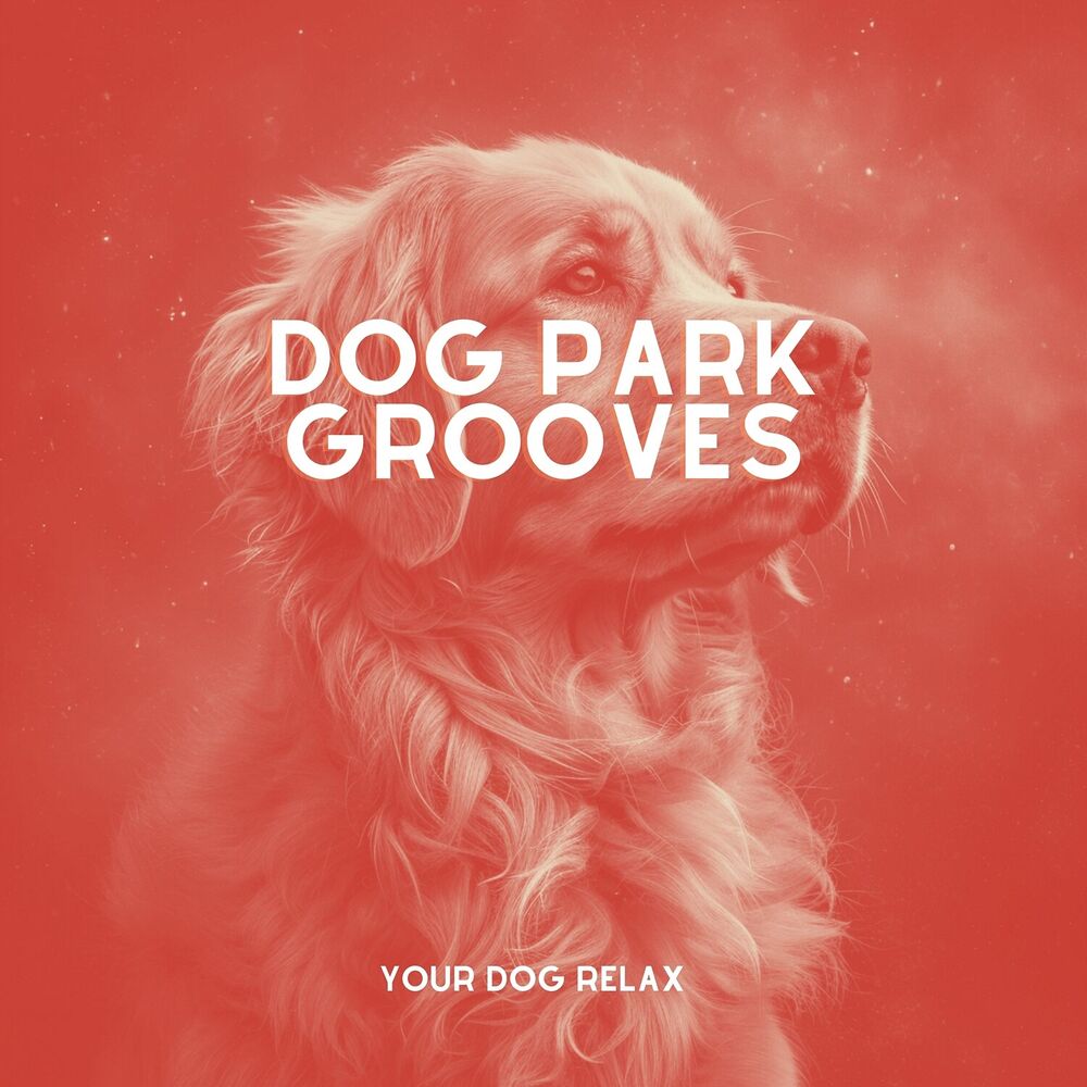 Picture of Dog Park Grooves: My Dog Dreams