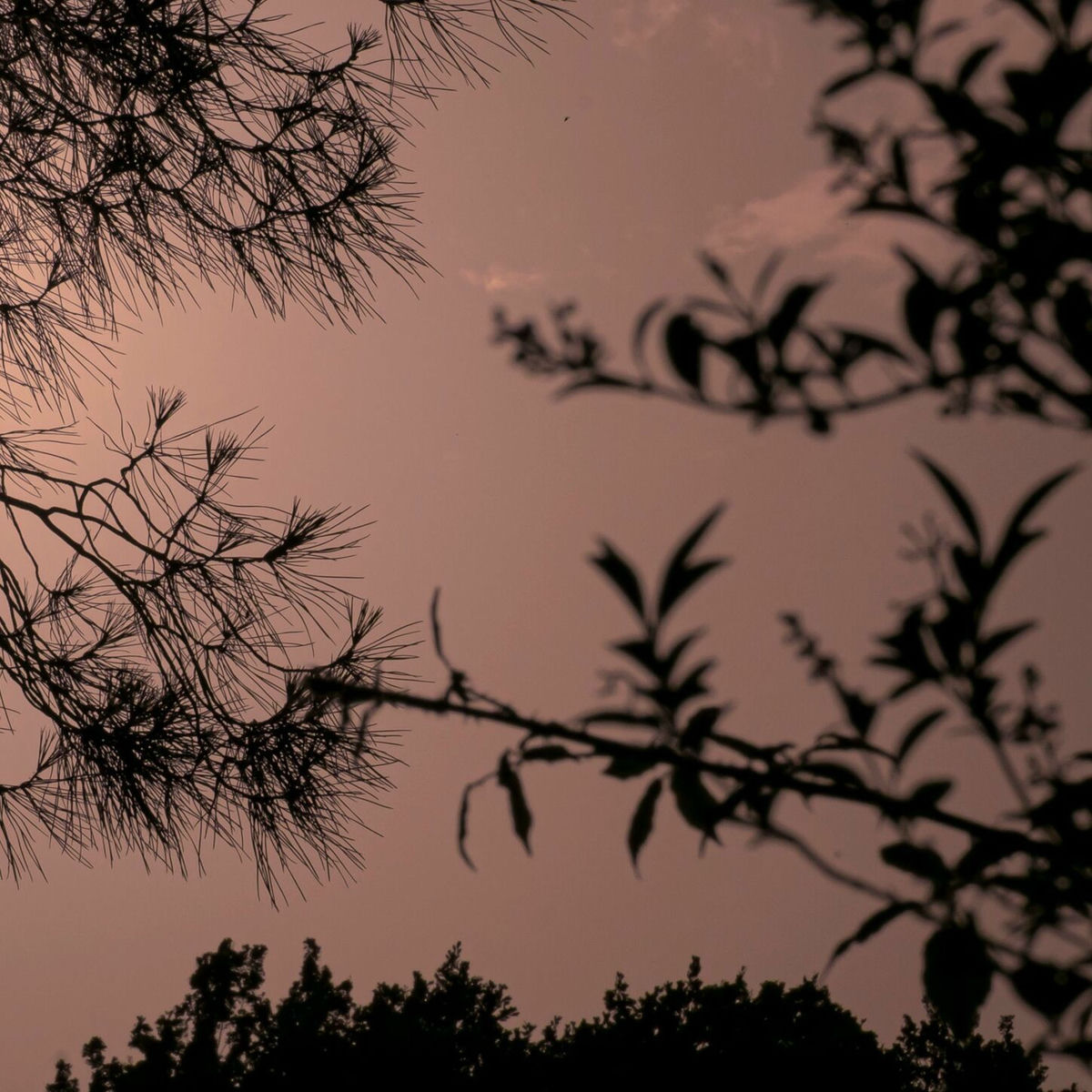 Album cover of should've known