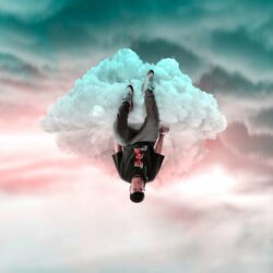 Cover of Denme Break