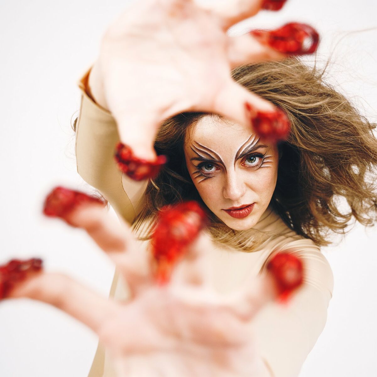 Album cover of Petit animal