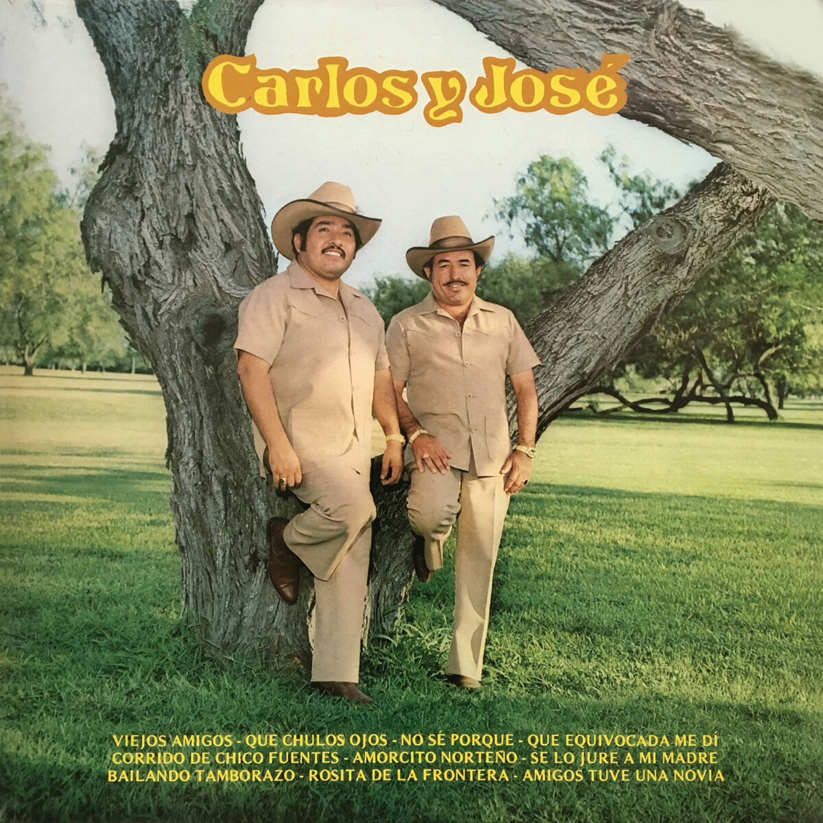 Album cover of Que Equivocada Me Dí