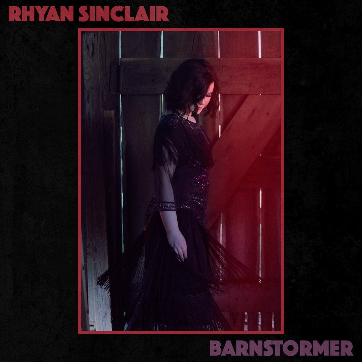 Album cover of Barnstormer