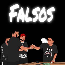 Cover of Falsos