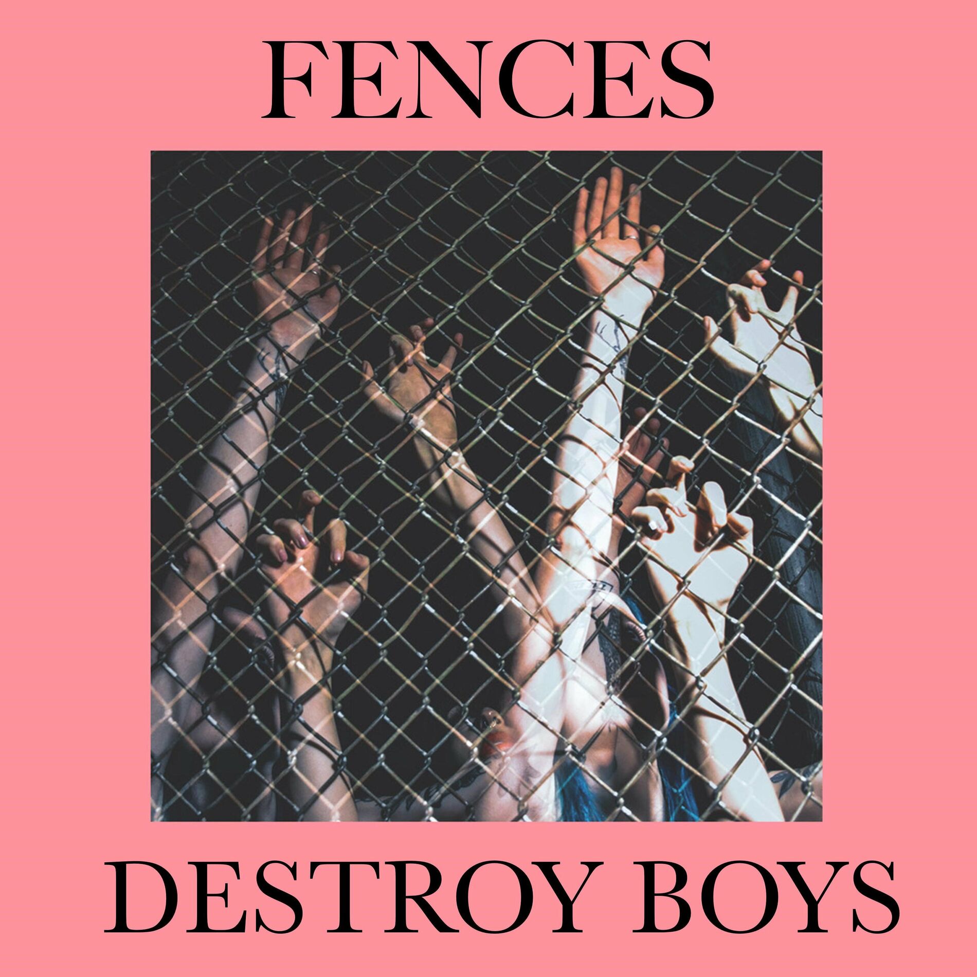 Album cover of Fences