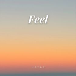 Cover of Feel