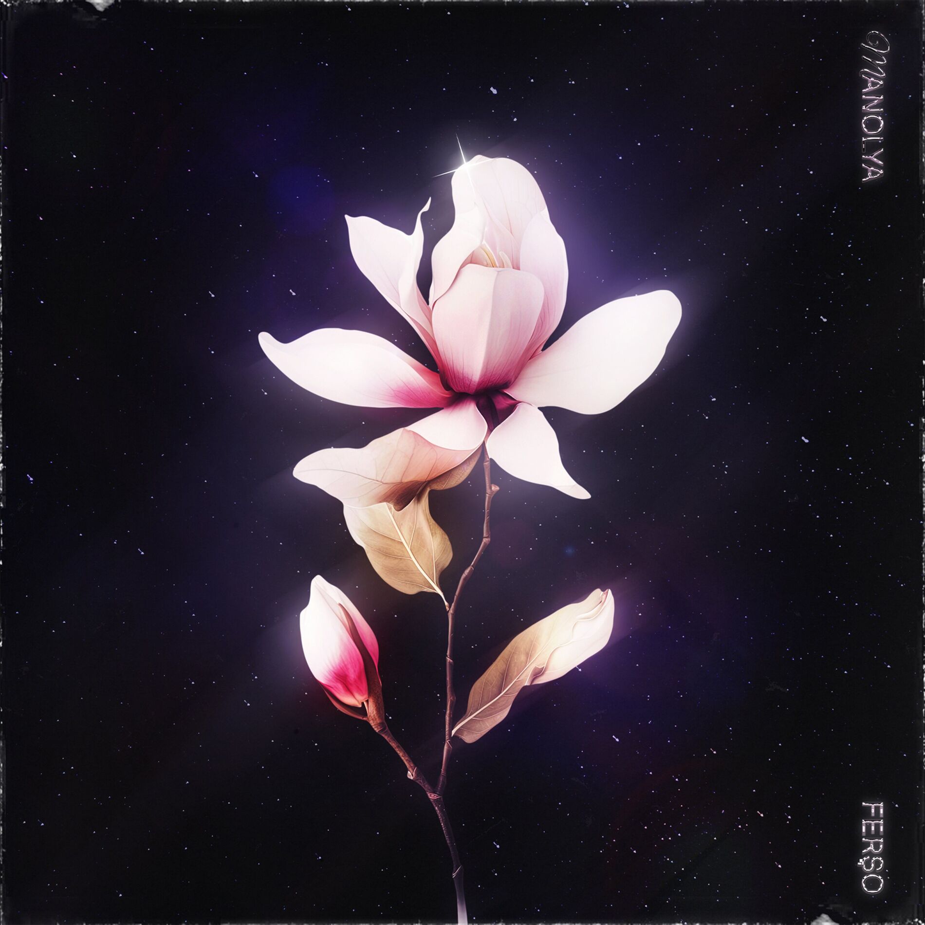Album cover of Manolya