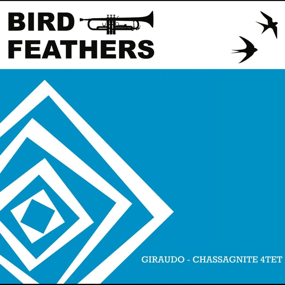 Picture of Bird Feathers