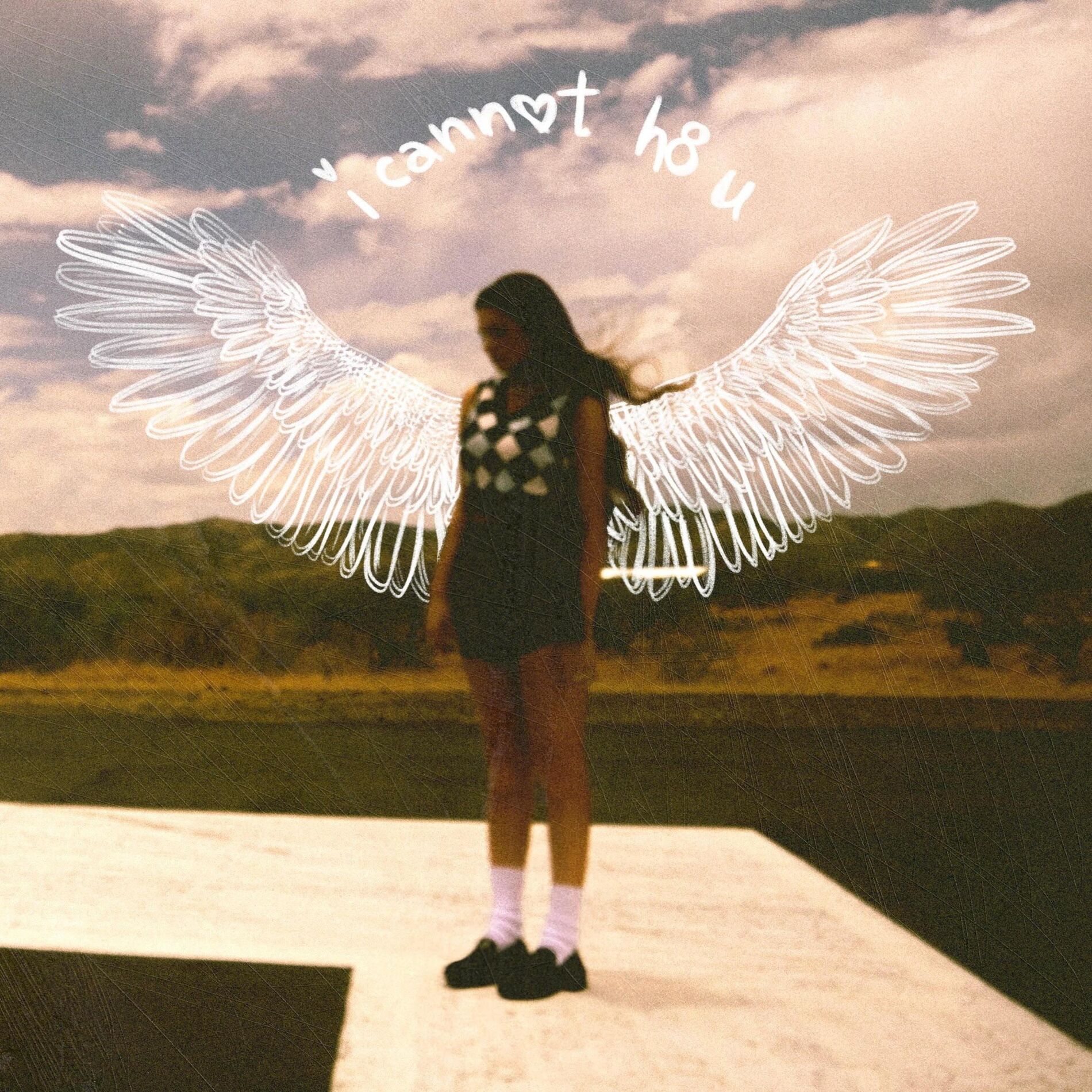 Album cover of i cannot h8 u
