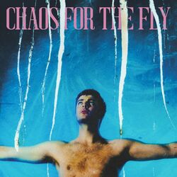 Cover of Chaos For The Fly