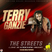 Terry Ganzie: albums, songs, concerts | Deezer