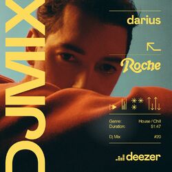 Cover of DJ Mix: Darius