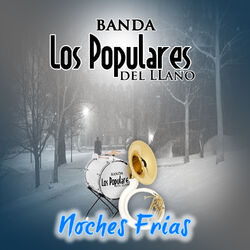 Cover of Noches Frias