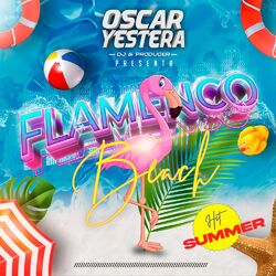 Cover of Flamenco Beach
