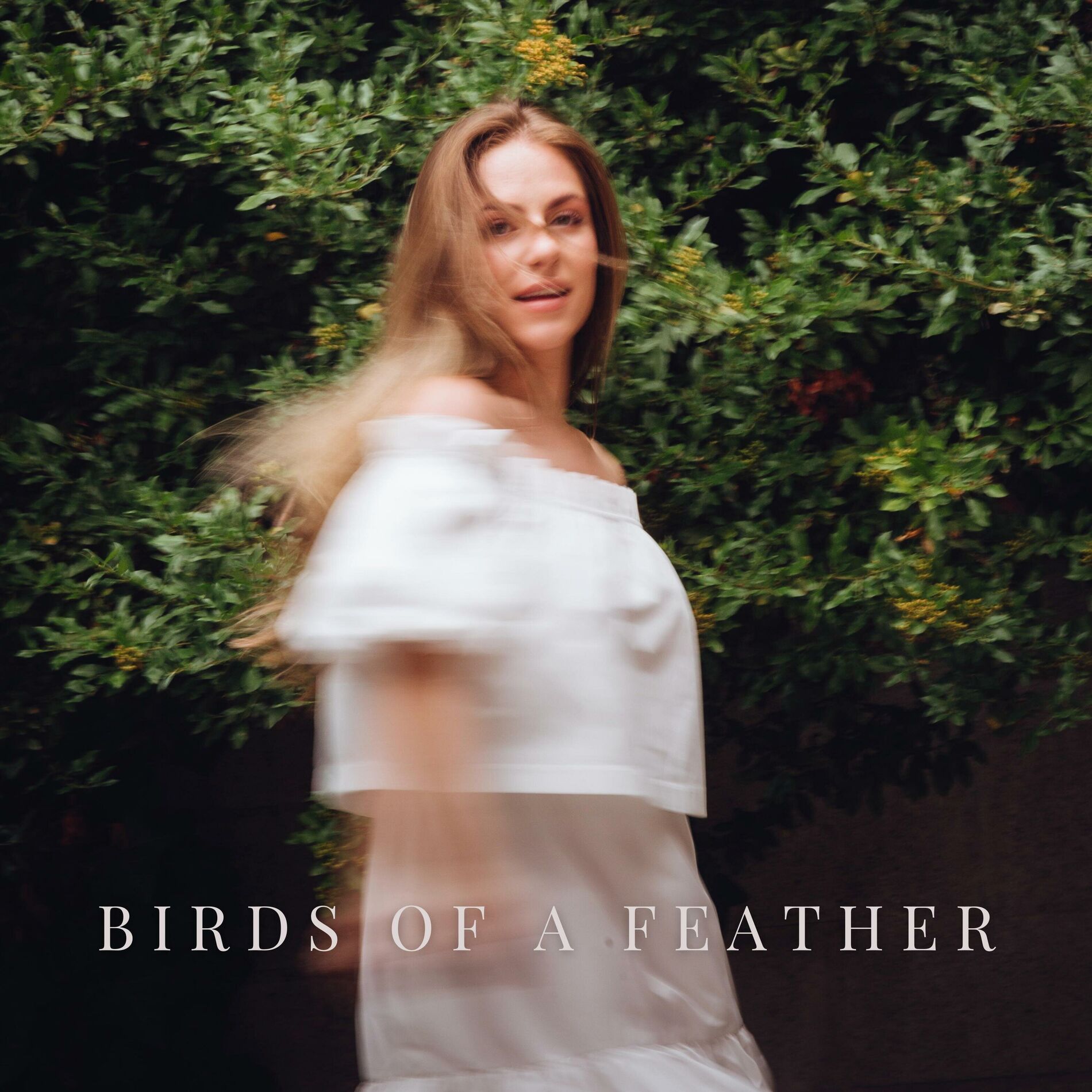 Album cover of BIRDS OF A FEATHER