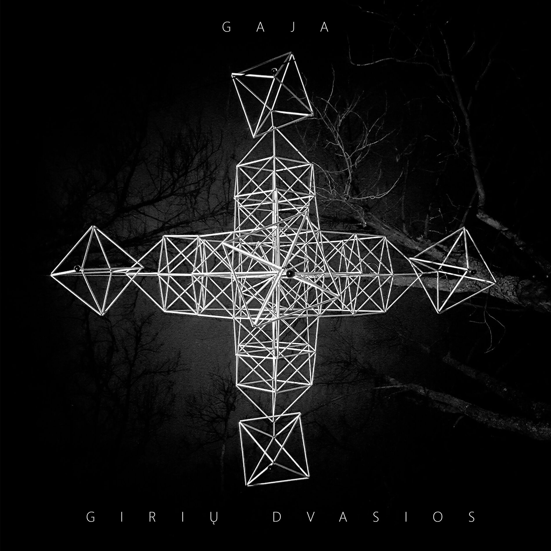 Album cover of Gaja