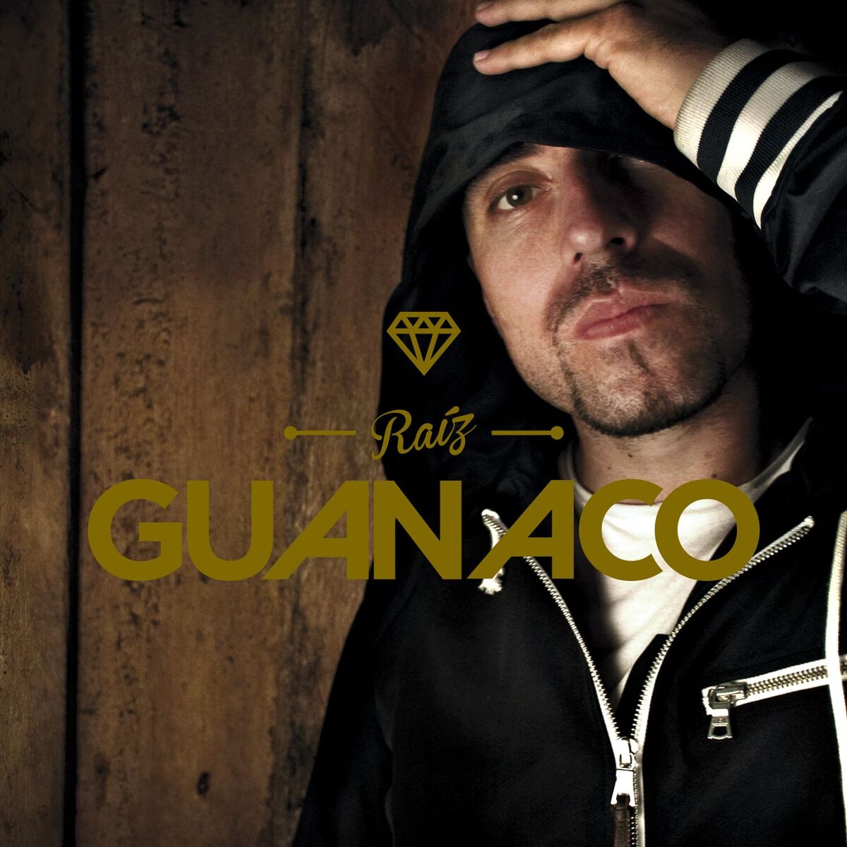Album cover of Raíz