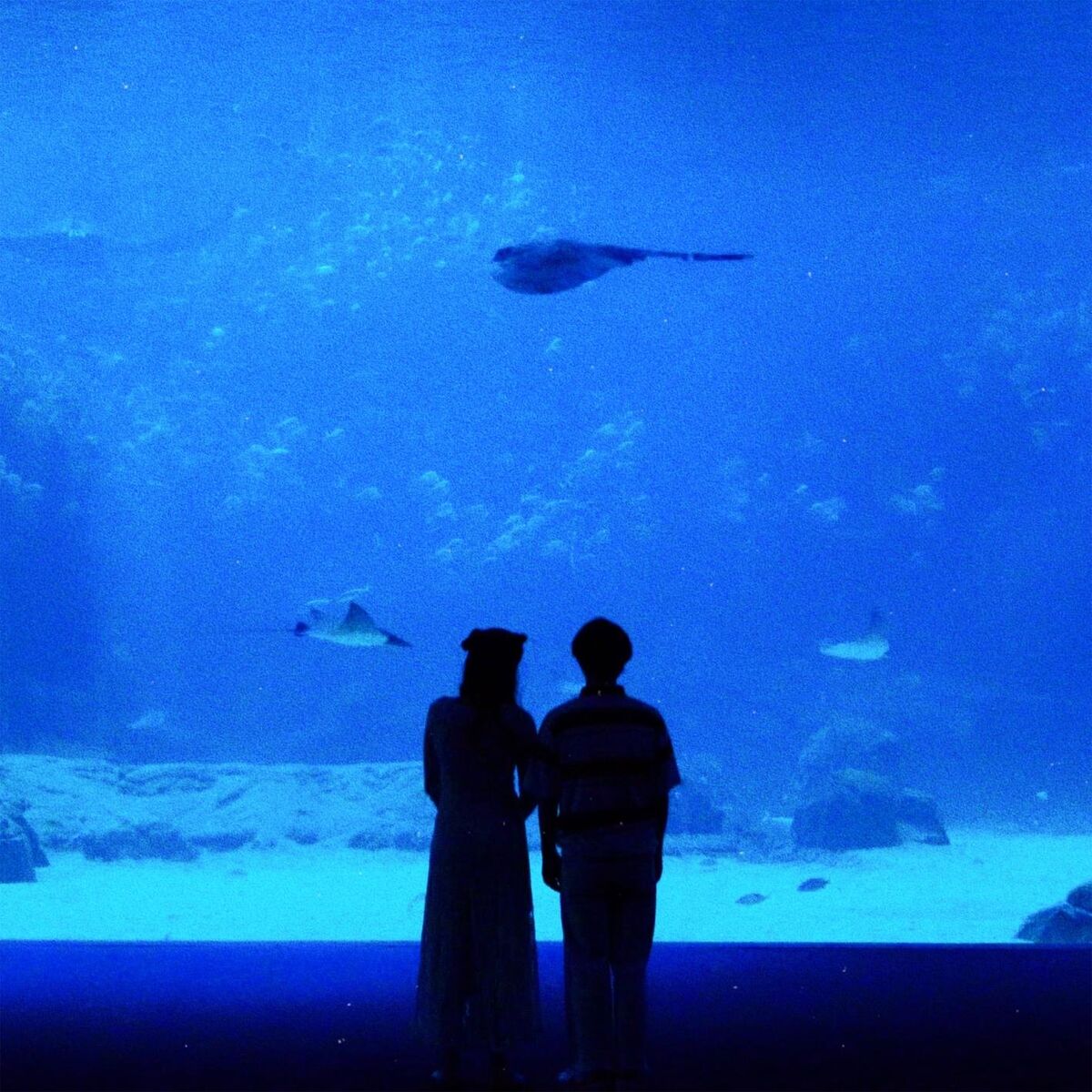 Album cover of Sometimes