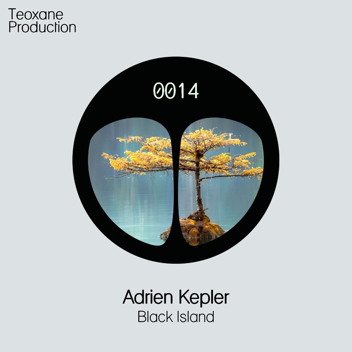 Album cover of Black Island