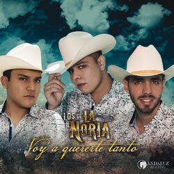 Cover of Voy A Quererte Tanto