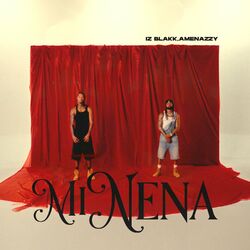 Cover of MI NENA