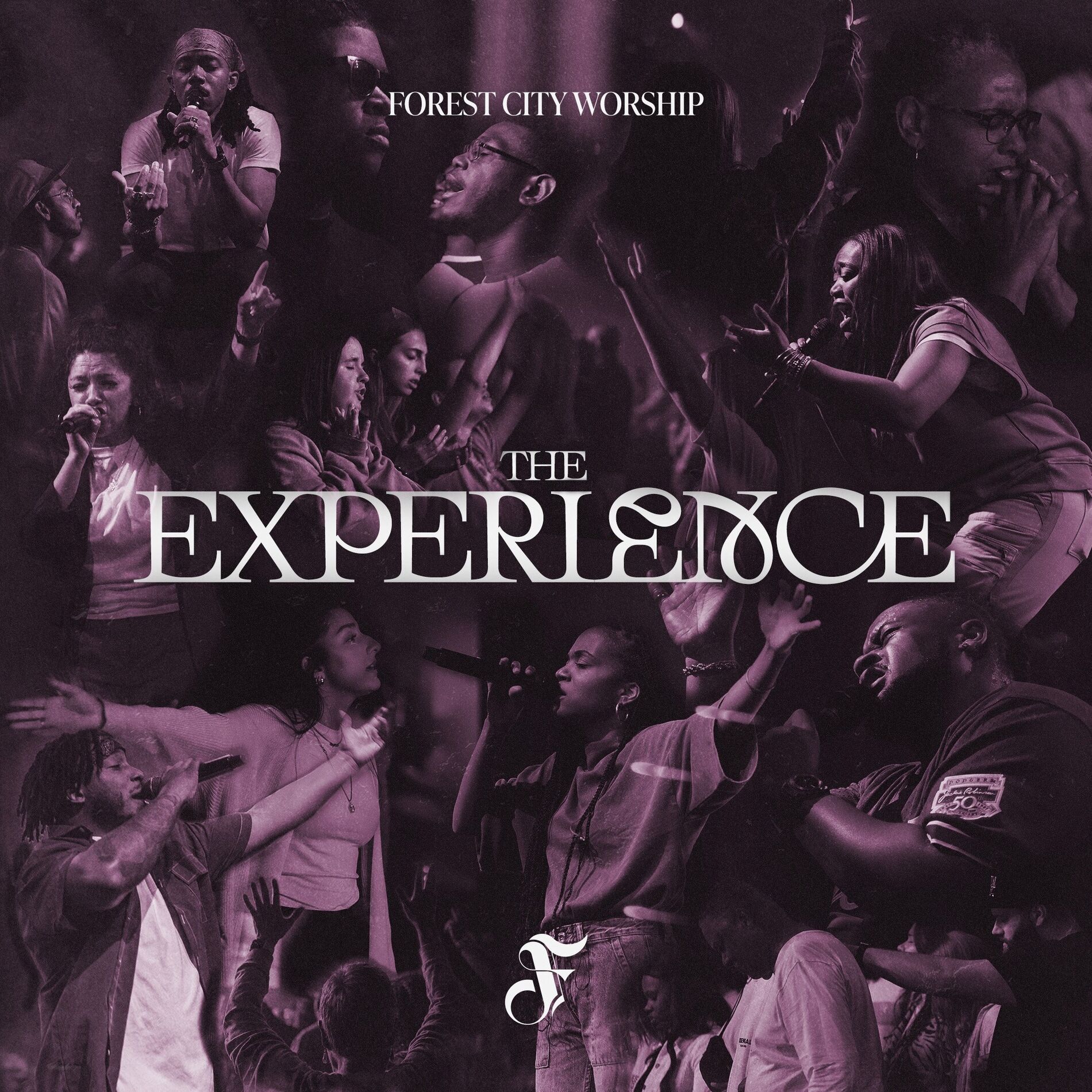 Album cover of The Experience (Live)