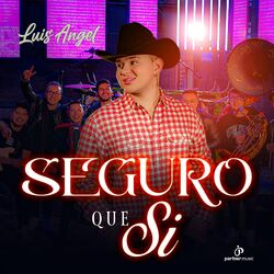 Cover of Seguro Que Si