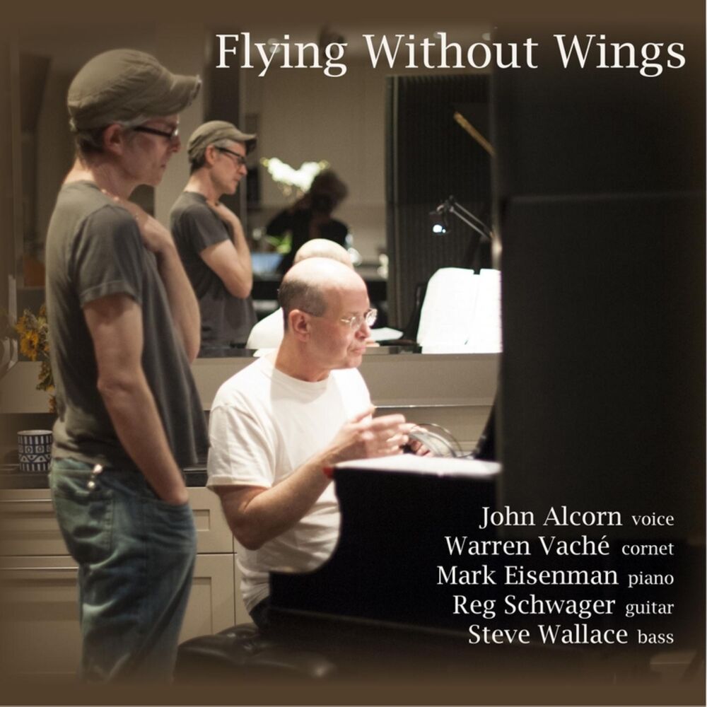 Picture of Flying Without Wings