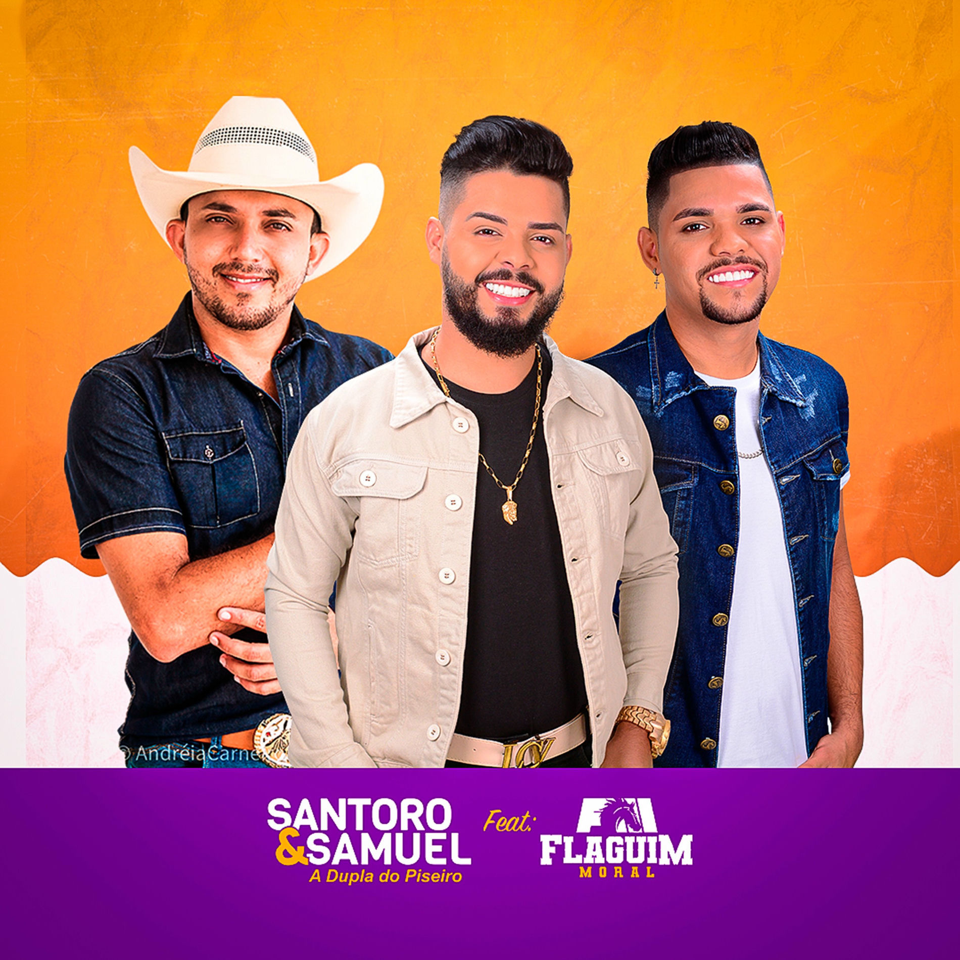 Album cover of Seringa de Gin