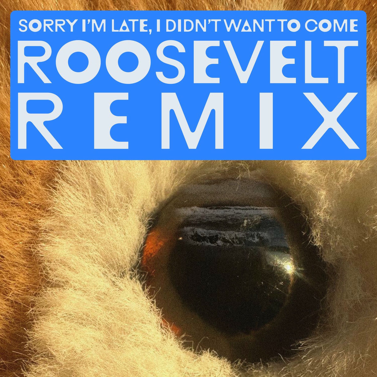 Album cover of Sorry I'm Late, I Didn't Want To Come