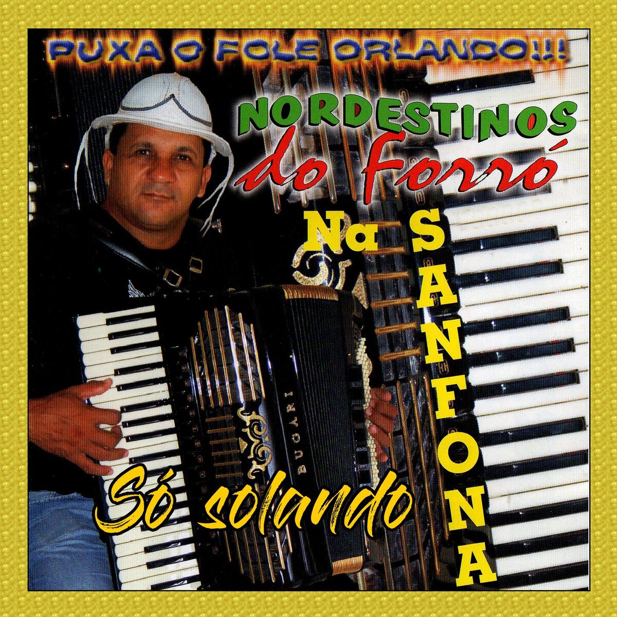 Album cover of SÓ SOLADO - NA SANFONA
