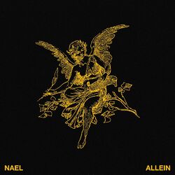 Cover of Allein
