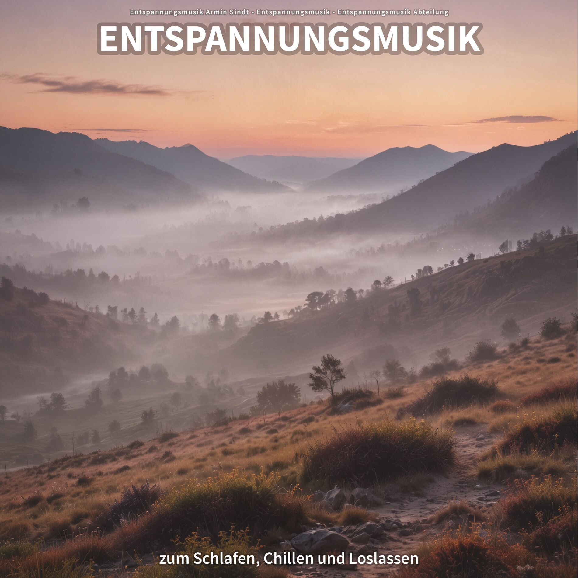 Album cover of Entspannungsmusik zum Schlafen, Chillen und Loslassen