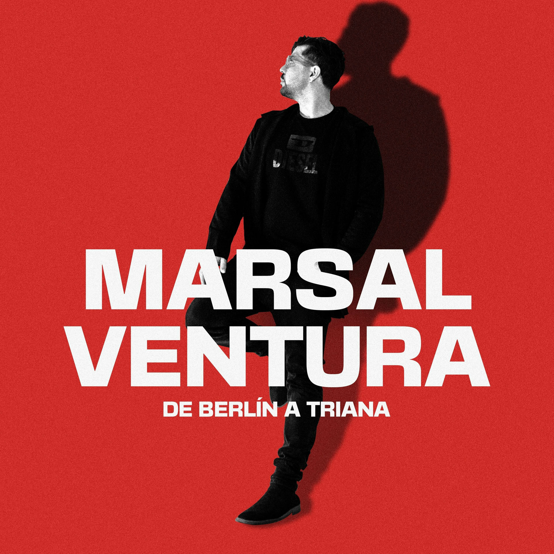 Album cover of Dias de Fiesta