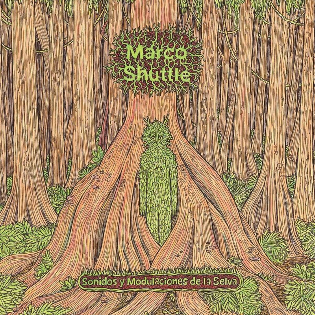 Album cover of Sonidos y Modulaciones de la Selva