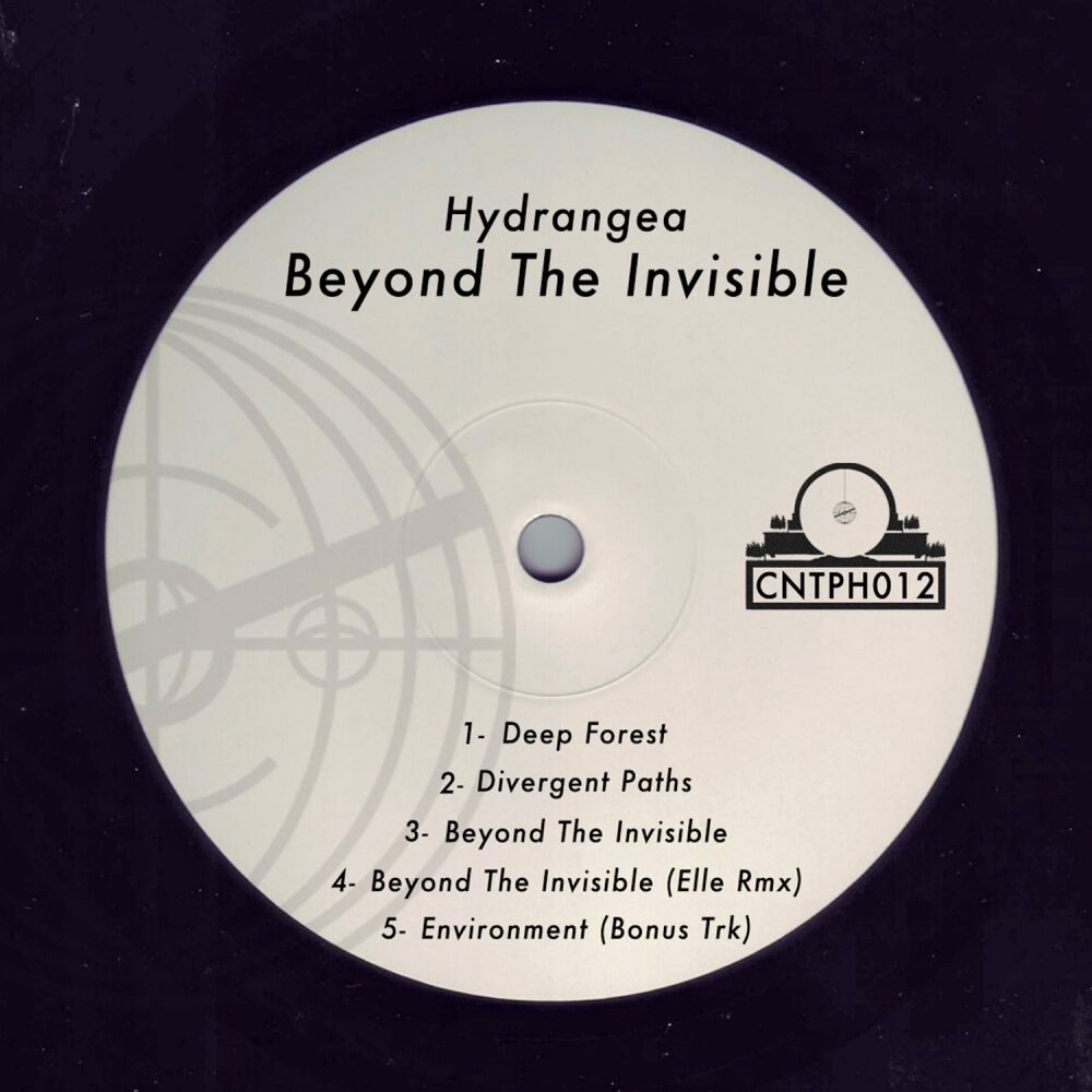 Picture of Beyond The Inviible